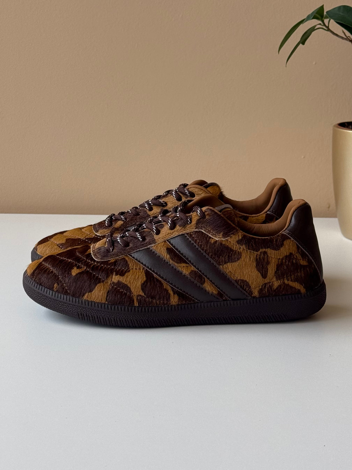 Sapatilhas Dark Brown - ABF97