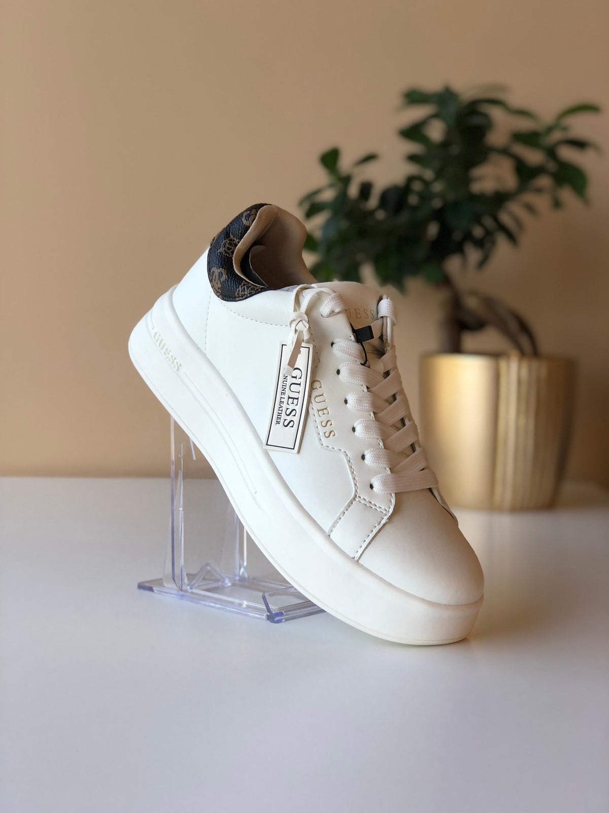 Women's Winnie Guess Trainers