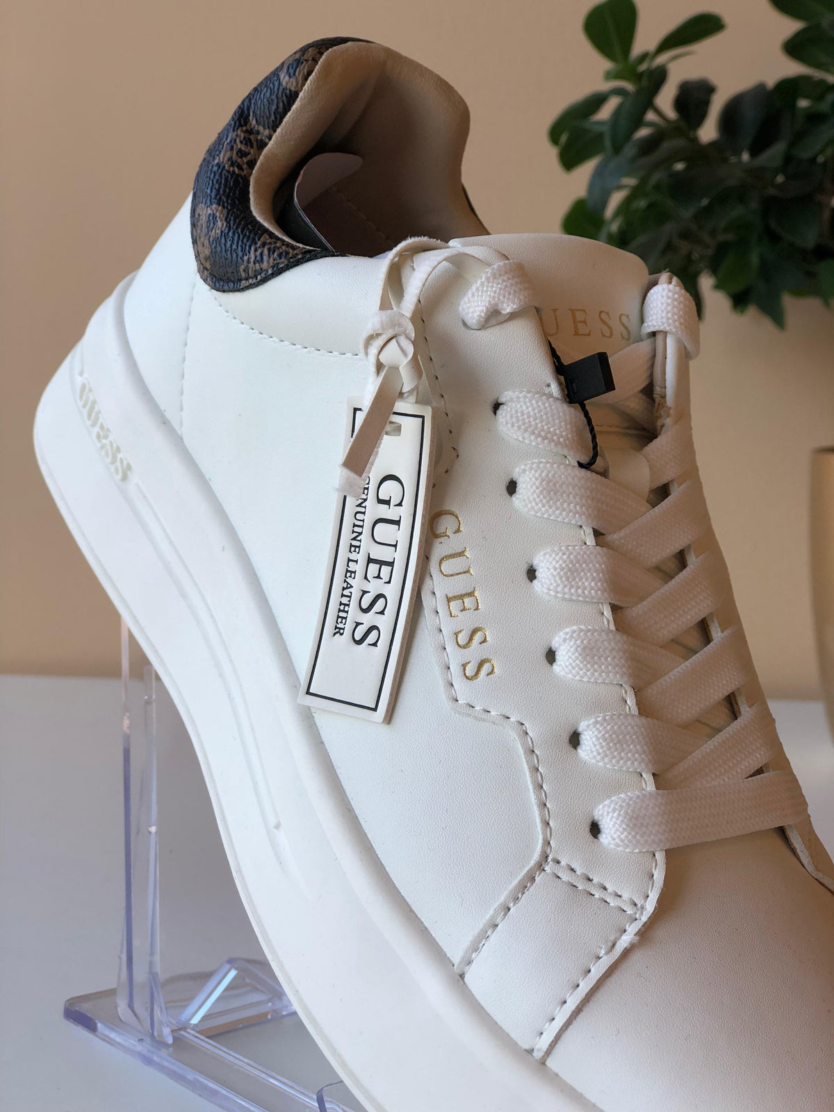 Women's Winnie Guess Trainers