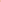 PRAIA TOMMY HILFIGER HOMEM ROSA